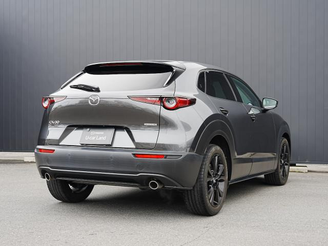 CX-302.0 20S
