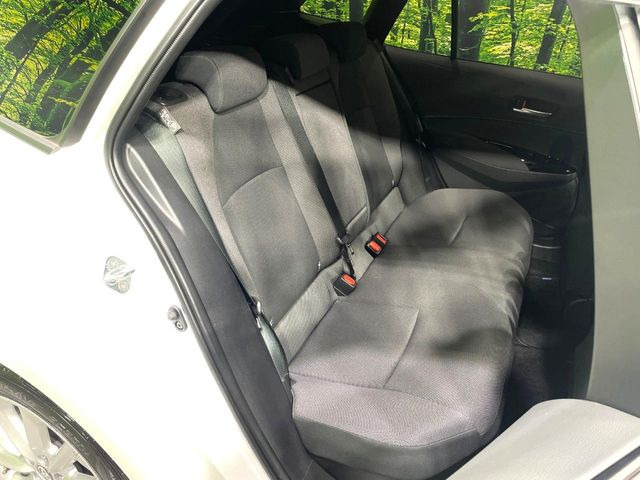 �㕔���Ȃ��C�ɂȂ�悤�ȃL�Y�E�����ւ��蓙�A�傫�ȃ_���[�W�͂Ȃ��A�ǍD�ȏ�Ԃł��B