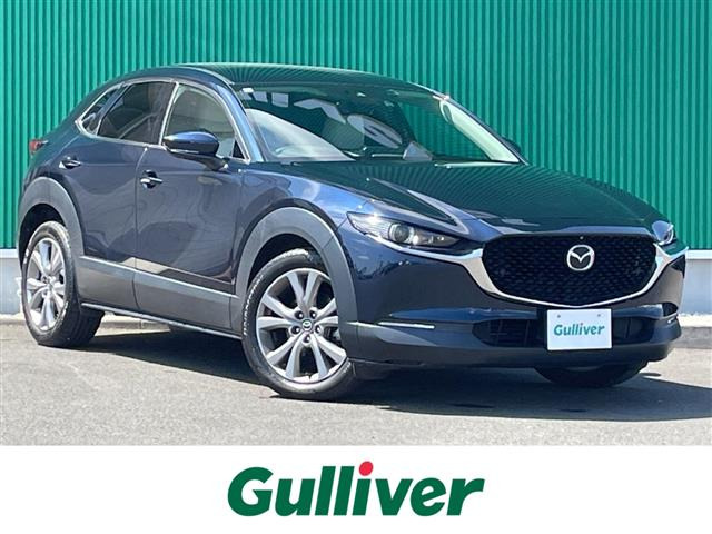 CX-301.8 XD Lパッケージ