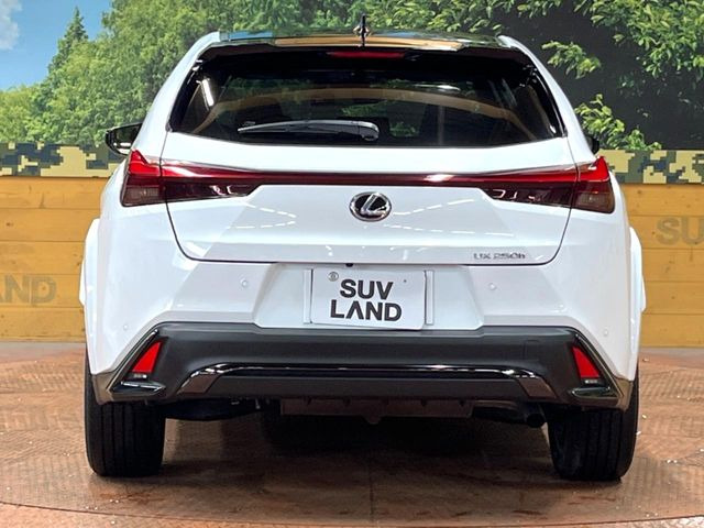 ���S�̍Œ�10�N�E���s�������ۏ�(�L��)�����p�ӁB�ۏؓ��e���[���͂������A�����_��&�I�C��������A�N�����x�̑S���E24���ԃ��[�h�T�[�r�X���t�т���Ă���܂��̂ł����S�������B