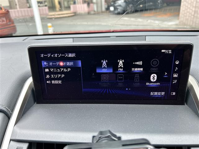 NX300h Fスポーツ