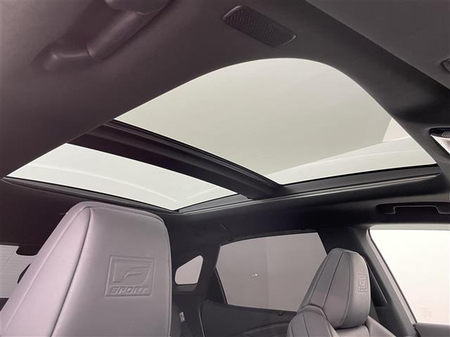 RX500h Fスポーツパフォーマンス 4WD