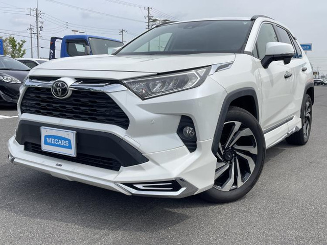 RAV42.0 X