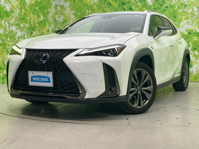 UX250h Fスポーツ