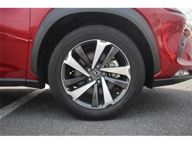 ���Ǝҗl�ւ̔̔��͂��f�肳���Ă��������܂��B�Ԍ������ԗ��̏ꍇ�́A�Ԍ����擾�������x�������z�ŕ\�����Ă���܂��B