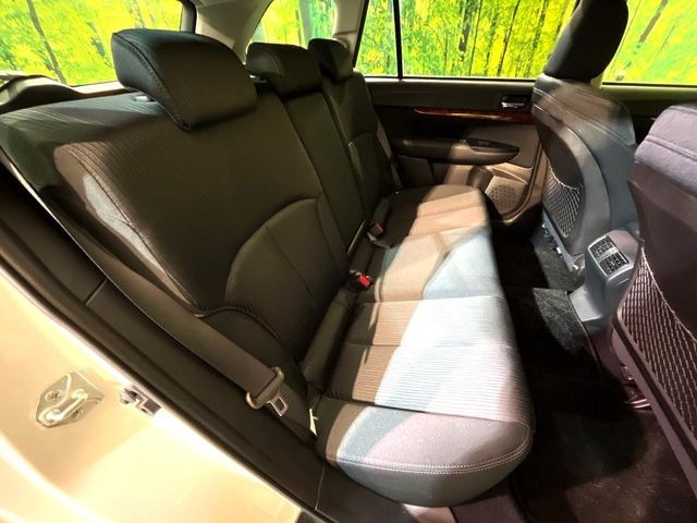 �㕔���Ȃ��C�ɂȂ�悤�ȃL�Y�E�����ւ��蓙�A�傫�ȃ_���[�W�͂Ȃ��A�ǍD�ȏ�Ԃł��B