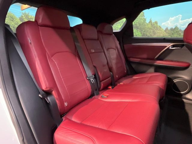 �㕔���Ȃ��C�ɂȂ�悤�ȃL�Y�E�����ւ��蓙�A�傫�ȃ_���[�W�͂Ȃ��A�ǍD�ȏ�Ԃł��B