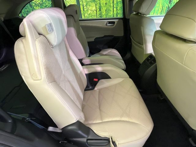 �㕔���Ȃ��C�ɂȂ�悤�ȃL�Y�E�����ւ��蓙�A�傫�ȃ_���[�W�͂Ȃ��A�ǍD�ȏ�Ԃł��B