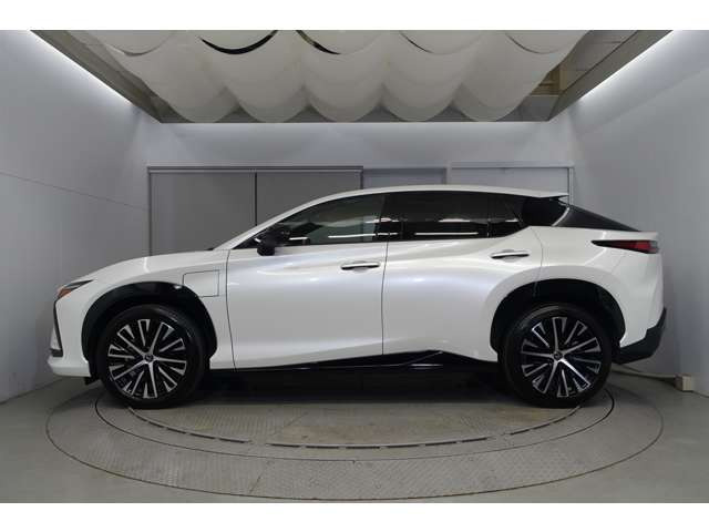 RZ300e バージョンL