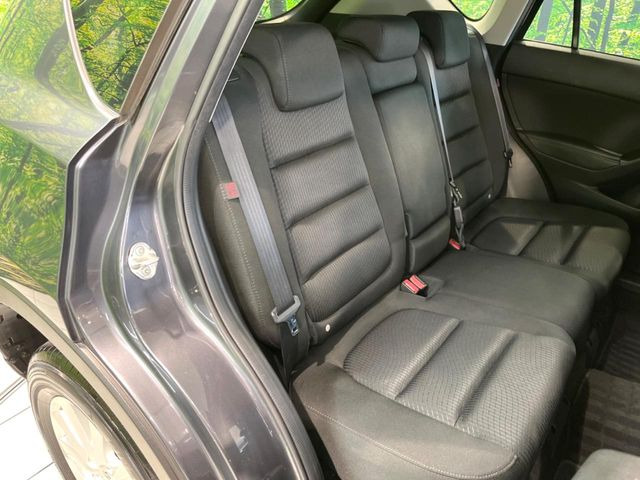 �㕔���Ȃ��C�ɂȂ�悤�ȃL�Y�E�����ւ��蓙�A�傫�ȃ_���[�W�͂Ȃ��A�ǍD�ȏ�Ԃł��B