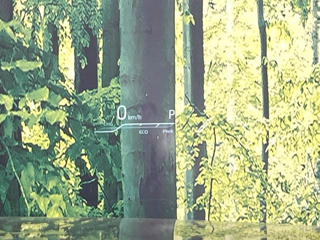 �y�w�b�h�A�b�v�f�B�X�v���C�z���݂̑��x�⑖�s�����f�W�^���\���ŉ^�]�ȑO���̃K���X�ɓ��e!�^�]���A�ڐ������炳���K�v�ȏ����m�F�ł���̂łƂ��Ă��֗��ň��S!