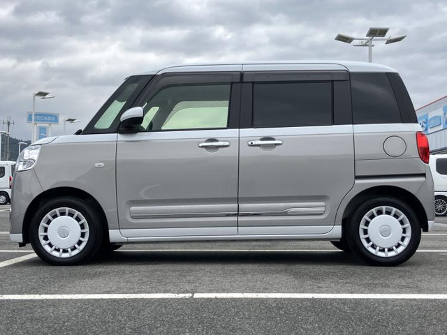 ムーヴキャンバスストライプス G