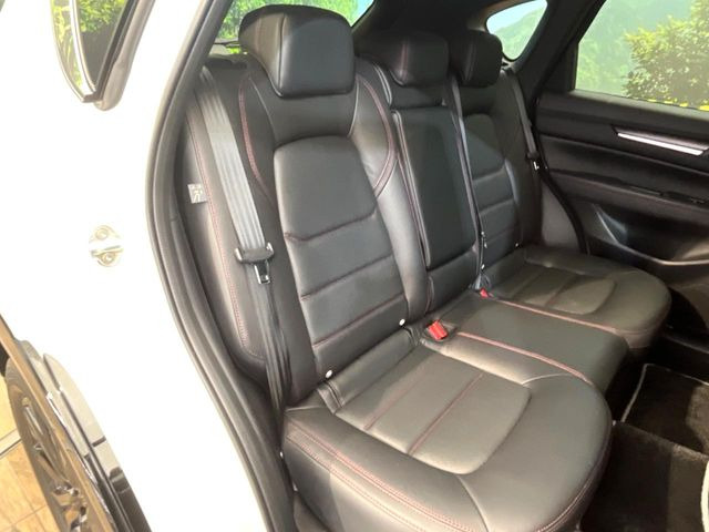 �㕔���Ȃ��C�ɂȂ�悤�ȃL�Y�E�����ւ��蓙�A�傫�ȃ_���[�W�͂Ȃ��A�ǍD�ȏ�Ԃł��B