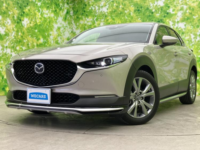 CX-301.8 XD Lパッケージ