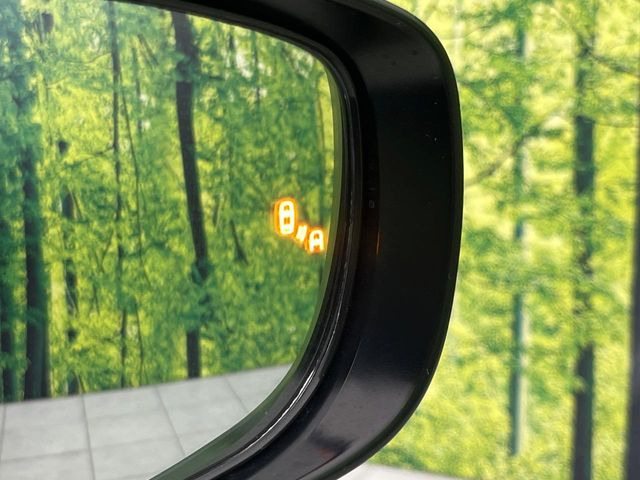 �y�u���C���h�X�|�b�g���j�^�[�z���s���A�h�A�~���[�̎��p�ɂȂ�₷���ӏ��Ɍ㑱�Ԃ��ڋ߂���ƃT�C�h�~���[�̃����Y�Ɍx����\��!�h���C�o�[�ɒ��ӊ��N�����Ă���܂��B