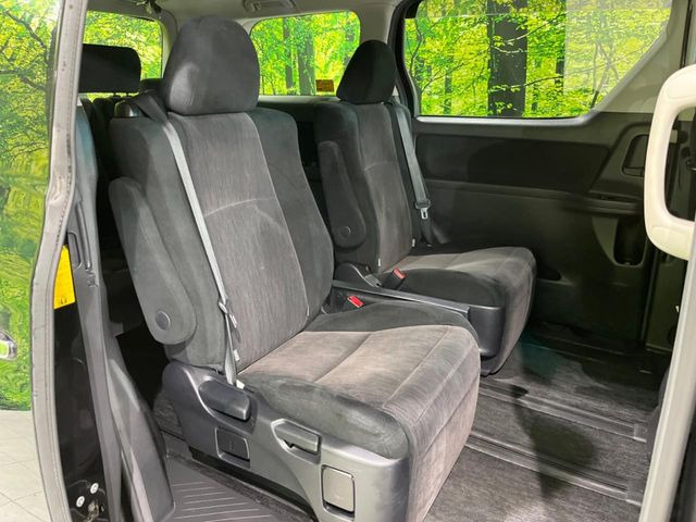 �㕔���Ȃ��C�ɂȂ�悤�ȃL�Y�E�����ւ��蓙�A�傫�ȃ_���[�W�͂Ȃ��A�ǍD�ȏ�Ԃł��B