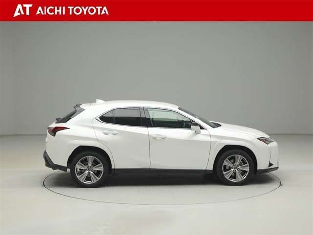 UX250h グレイスフル エクスプローラー