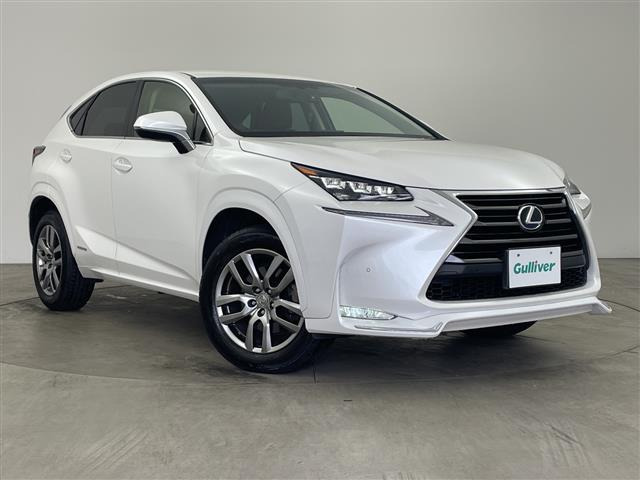 NX300h Iパッケージ