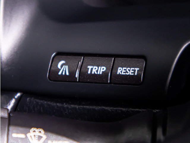 �H���I�v�V�����i�C�g�r���[!