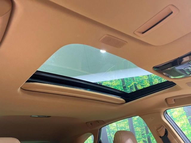 �y�T�����[�t�z�J���������Ղ�̊󏭑����A�T�����[�t����������Ă��܂�!�ԓ��ɖ�����������ꂽ��i�F���y���ވȊO�ɂ��A�ԓ��̋�C���ȒP�Ɋ��C�ł��ĉ��K�ł�!