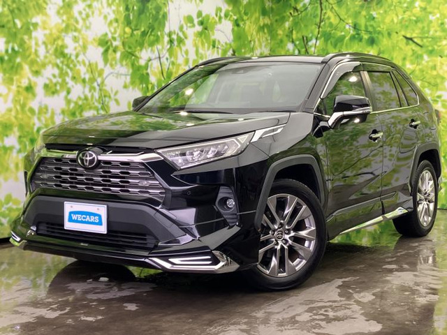 RAV42.0 G Zパッケージ 4WD