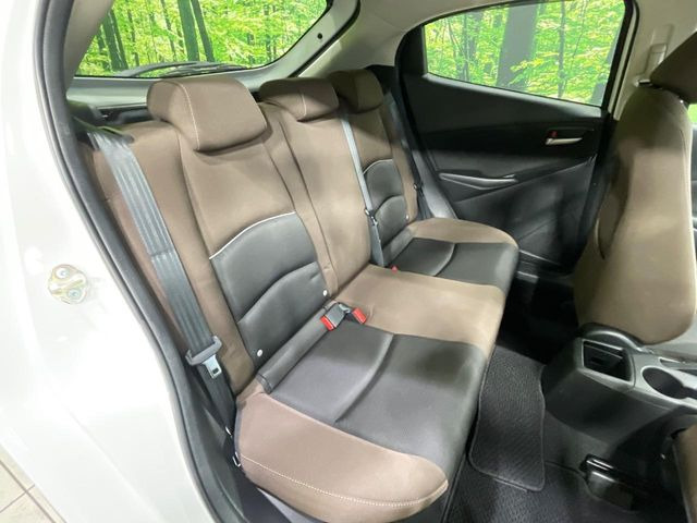 �㕔���Ȃ��C�ɂȂ�悤�ȃL�Y�E�����ւ��蓙�A�傫�ȃ_���[�W�͂Ȃ��A�ǍD�ȏ�Ԃł��B