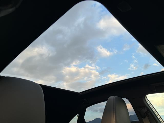 NX300h Fスポーツ