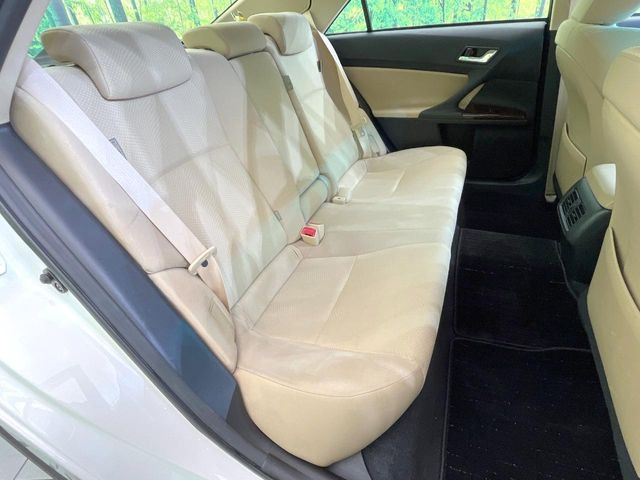 �㕔���Ȃ��C�ɂȂ�悤�ȃL�Y�E�����ւ��蓙�A�傫�ȃ_���[�W�͂Ȃ��A�ǍD�ȏ�Ԃł��B