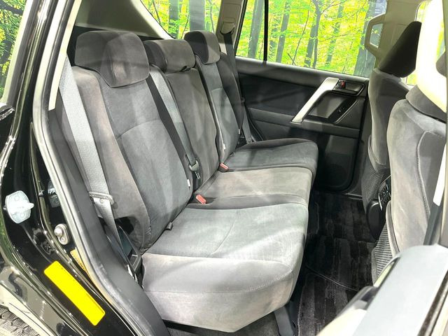 �㕔���Ȃ��C�ɂȂ�悤�ȃL�Y�E�����ւ��蓙�A�傫�ȃ_���[�W�͂Ȃ��A�ǍD�ȏ�Ԃł��B