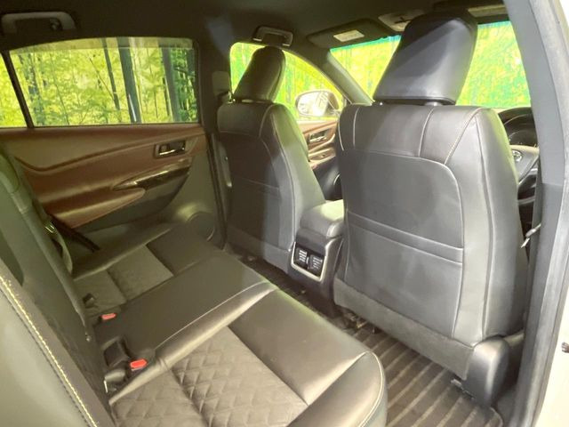 �㕔���Ȃ��C�ɂȂ�悤�ȃL�Y�E�����ւ��蓙�A�傫�ȃ_���[�W�͂Ȃ��A�ǍD�ȏ�Ԃł��B