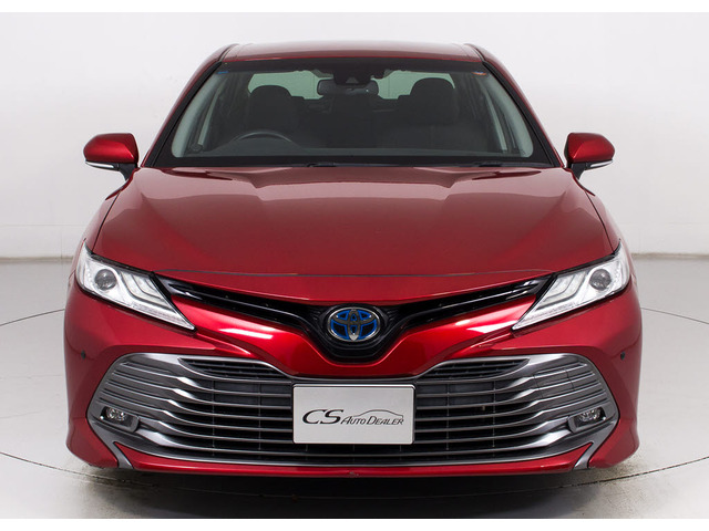 �։��Ԃł�!�����͌��ȃj�I�C�������A�������Y��ȏ�Ԃł�!�։��ԁE�E���ɃZ�_���^�C�v�̂��Ԃł͏��Ȃ��ł����!!�^�o�R�̃j�I�C�����Ȃ��q�l�K���ł�!���K�ɂ���Ԓ����܂�!!