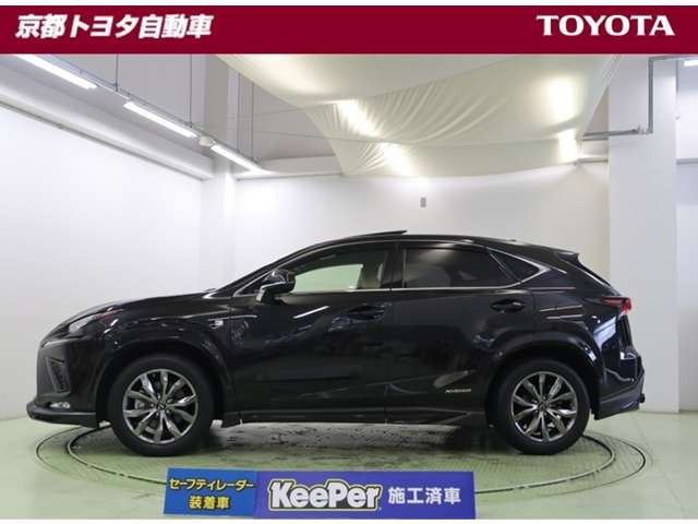 NX300h Fスポーツ