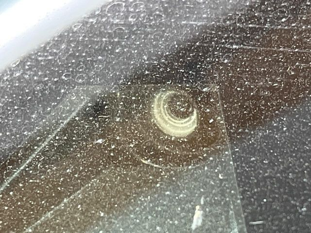 �y�v���N���b�V���Z�[�t�e�B�z�O���̎ԗ��������m���A�Փ˂������Ȏ��͌x��Œ��ӂ𑣂��A�u���[�L�𓥂ޗ͂��T�|�[�g�B�u���[�L�𓥂߂Ȃ������ꍇ�͏Փ˔�Q�y���u���[�L���쓮�A�Փˉ�����T�|�[�g���܂��B