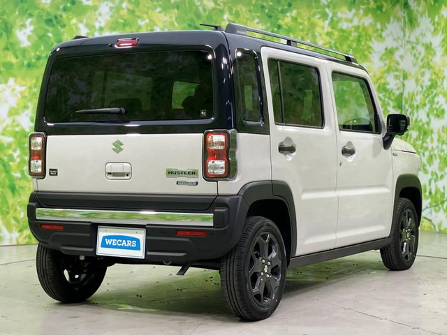 ハスラータフワイルド