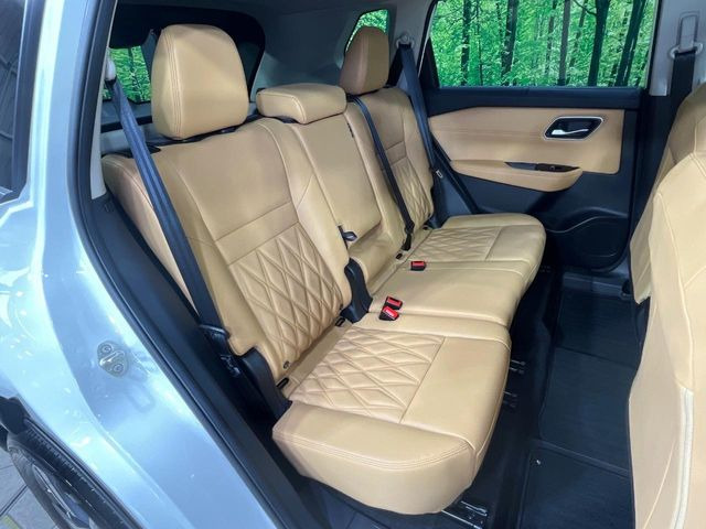 �㕔���Ȃ��C�ɂȂ�悤�ȃL�Y�E�����ւ��蓙�A�傫�ȃ_���[�W�͂Ȃ��A�ǍD�ȏ�Ԃł��B