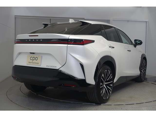 RZ300e バージョンL