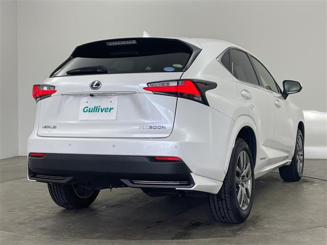 NX300h Iパッケージ