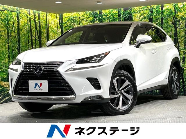 NX300h バージョンL