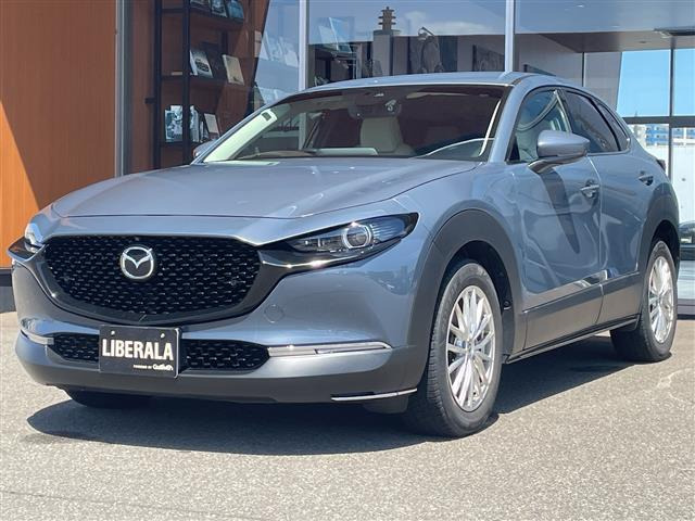 CX-301.8 XD Lパッケージ