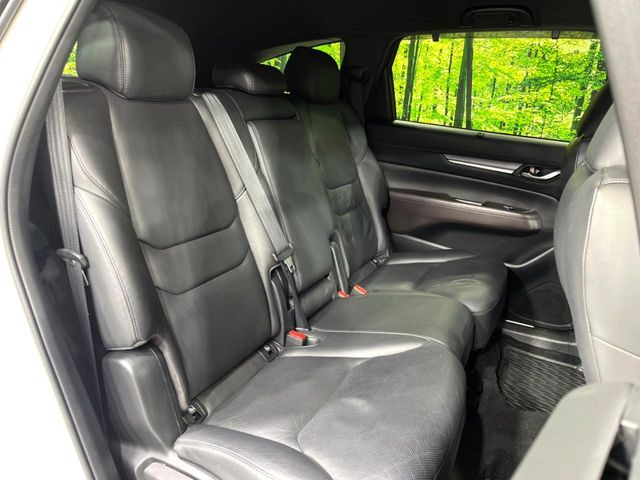 �㕔���Ȃ��C�ɂȂ�悤�ȃL�Y�E�����ւ��蓙�A�傫�ȃ_���[�W�͂Ȃ��A�ǍD�ȏ�Ԃł��B