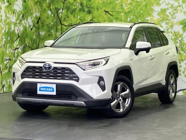 RAV42.5 ハイブリッド G E-Four 4WD