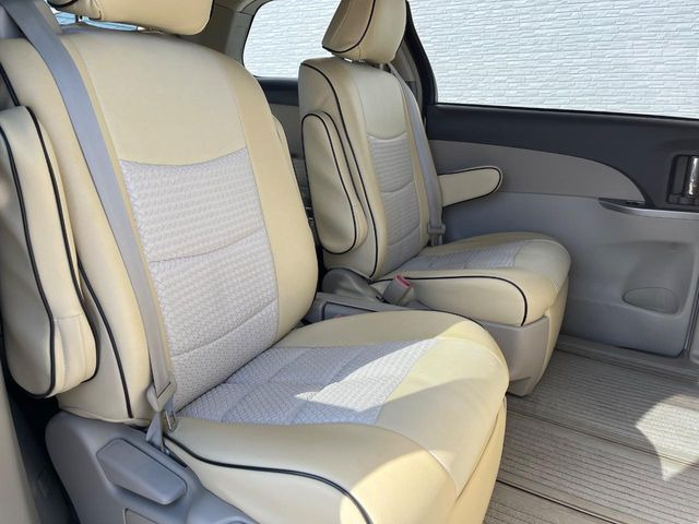 �㕔���Ȃ��C�ɂȂ�悤�ȃL�Y�E�����ւ��蓙�A�傫�ȃ_���[�W�͂Ȃ��A�ǍD�ȏ�Ԃł��B