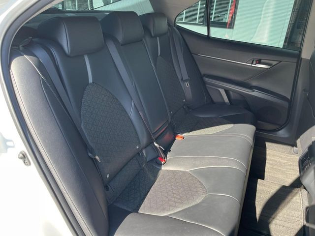 �㕔���Ȃ��C�ɂȂ�悤�ȃL�Y�E�����ւ��蓙�A�傫�ȃ_���[�W�͂Ȃ��A�ǍD�ȏ�Ԃł��B