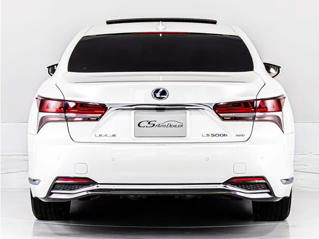 �l�C�̔��n�{�f�B!�\�j�b�N�N�H�[�c�O��!