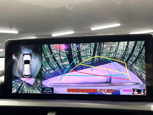 NX300h バージョンL