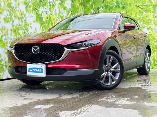 CX-302.0 20S プロアクティブ ツーリングセレクション