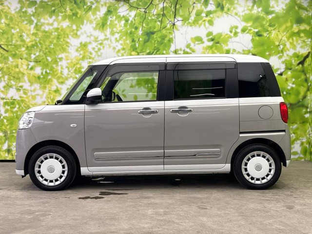 ムーヴキャンバスストライプス G