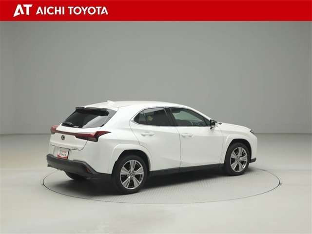 UX250h グレイスフル エクスプローラー