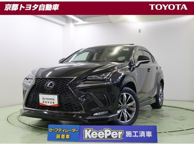 NX300h Fスポーツ