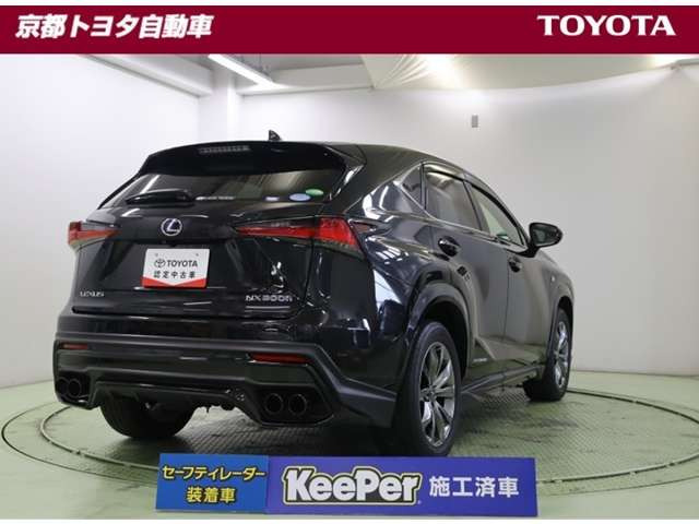 NX300h Fスポーツ